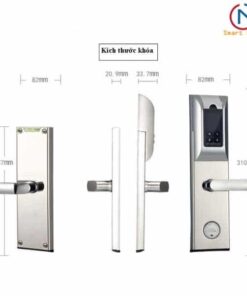 Khóa cửa vân tay ADEL 4920 (3in1)
