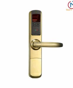 Khóa cửa vân tay ADEL 5500 (3in1)